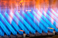 Trefriw gas fired boilers